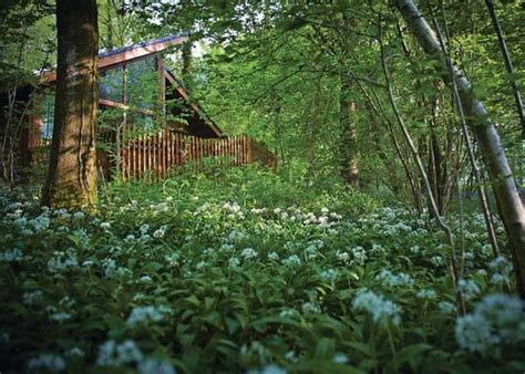 Forest Of Dean Lodges Coleford Gloucestershire Self Catering