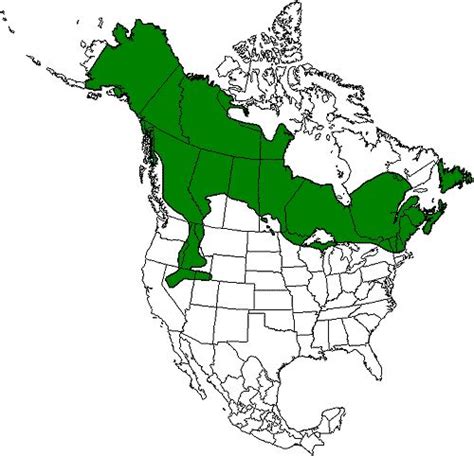 Moose Range Map States With Moose Populations Wa Id Mt Nv Ut Nd