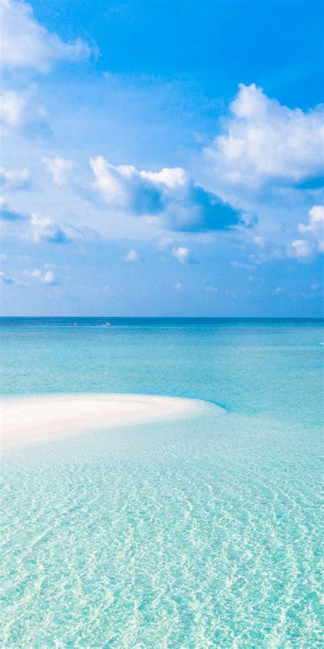 1440x2880 Tropical Beach Sea Sunny Day Blue Sky Nature