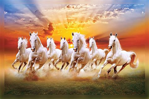 7 Horse Images Hd Wallpaper Download 3d