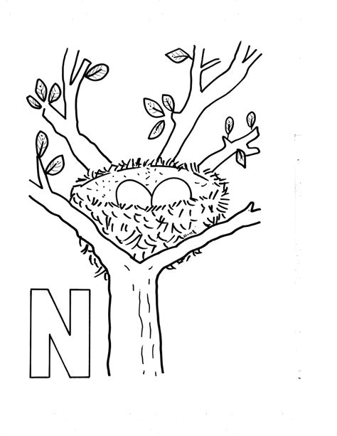 Coloring Pages Letter N Nest Coloring Pages
