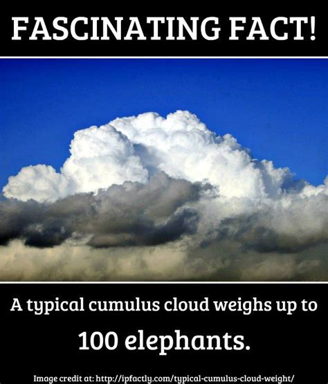 A Typical Cumulus Cloud Weighs Up To Elephants Fun Facts You