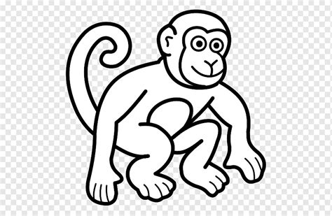 Gambar Hitam Putih Hewan Monyet Pulp