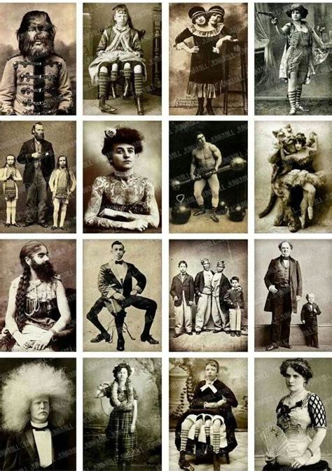 From Freak Shows Human Oddities Vintage Circus Circus Performers