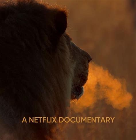 A Captivating Heartwarming Netflix Documentary