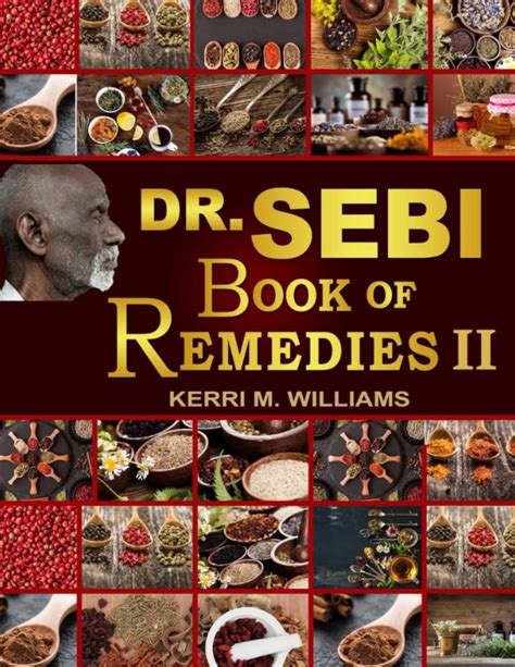 Dr Sebis Book Of Remedies Ii Techniques Practices Self Care
