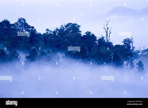 Clouds Of Misty Mountain Ranges As Viewed From Genting Highlands Stock