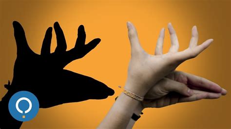 How To Make Shadow Animals With Your Hands Youtube