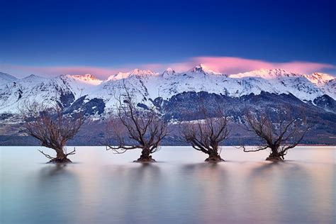 Glenorchy Willows Line Up Sunrise Remarkables Snow Mountains Lake