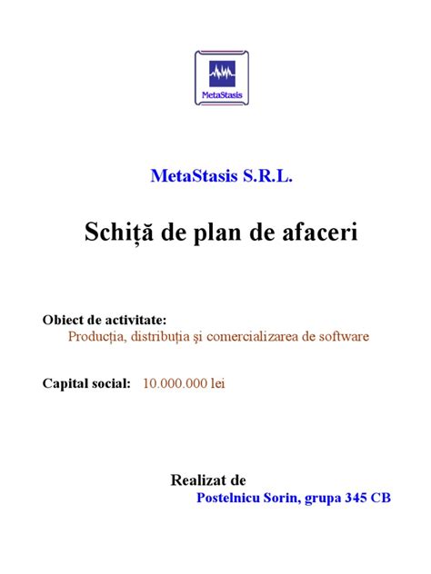 Schita De Plan De Afaceri Pdf