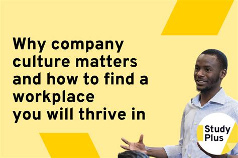 Study Plus Why Company Culture Matters And How To Find A Workplace