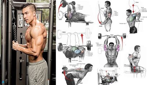 The Best Tricep Exercises Top 3 Exercises For Big Triceps Bodydulding