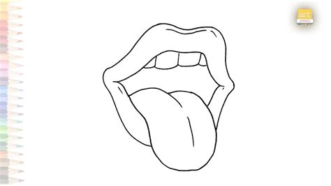Human Mouth Tongue Diagram Easy Human Anatomy Drawings How To Draw