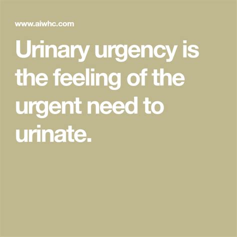 Urinary Urgency Is The Feeling Of The Urgent Need To Urinate Womens