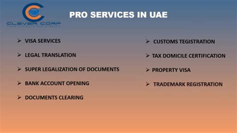 Business Set Up And Pro Services In Dubai Uae Youtube