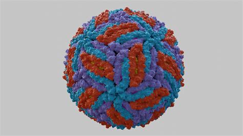 3d Model Virus Zika Turbosquid 2043355