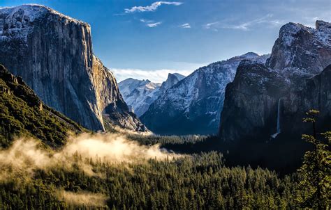 Обои лес горы Usa США Национальный парк Йосемити Yosemite National