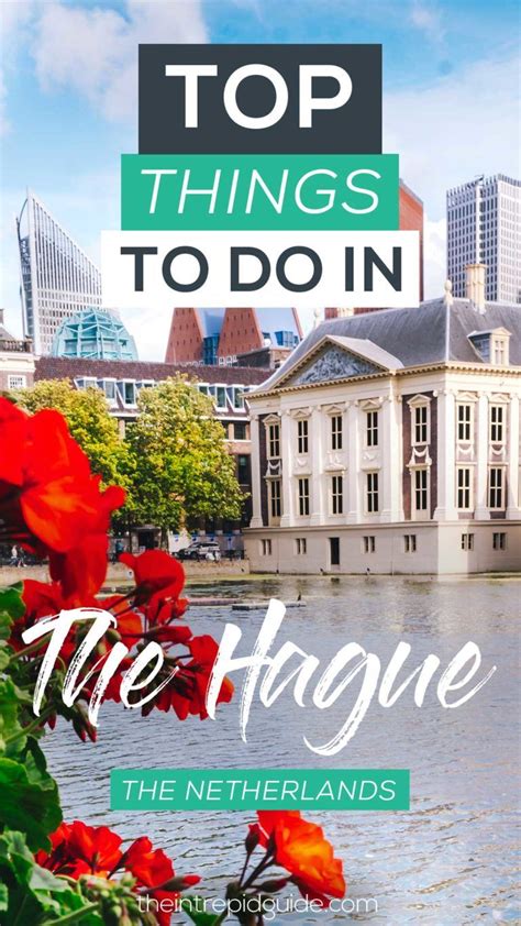 17 top things you must do in the hague the ultimate den hague itinerary the hague netherlands