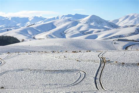 Snowing In South Island New Zealand Photograph By Pla Gallery Fine