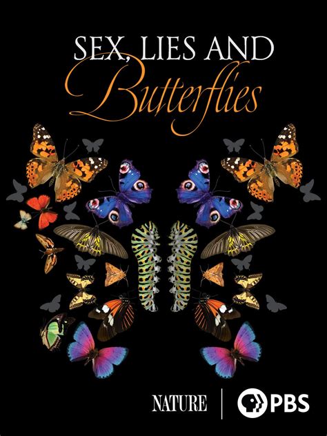 Sex Lies And Butterflies Paul Giamatti Janet Hess Ann