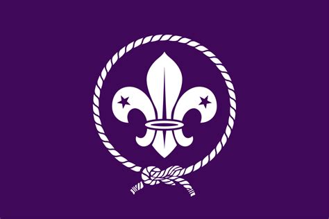 Buy World Scout Flag Flag Online Printed And Sewn Flags 13 Sizes
