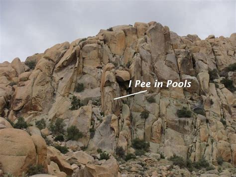 Rock Climb I Pee In Pools Joshua Tree National Park