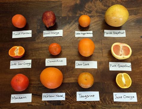 Different Types Oranges Different Types