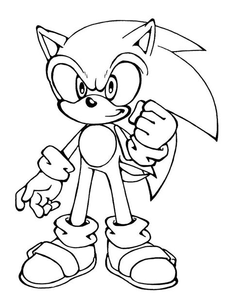 Sonic Para Desarrollar La Generación Menor Hedgehog Colors Animal