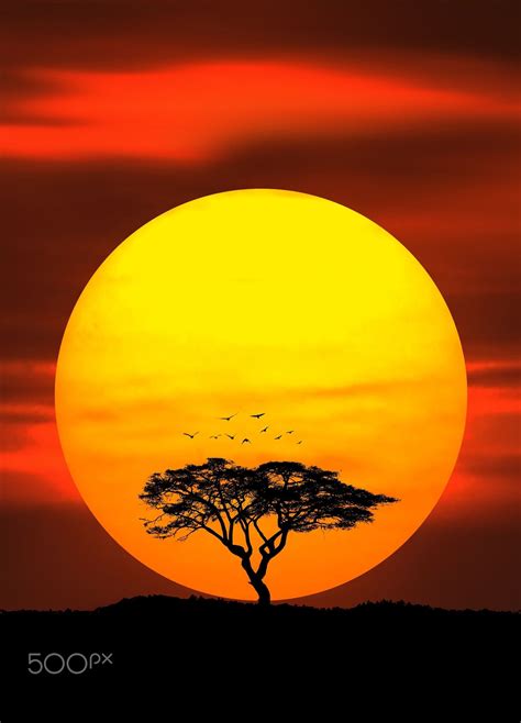 Circle Of Life Null Sunset Painting Beautiful Nature Pictures