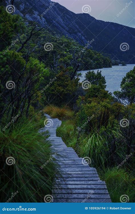 Cradle Mountain In Tasmania On A Cloudy Day Stock Photo Image Of