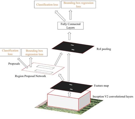 Faster Rcnn Architecture Download Scientific Diagram