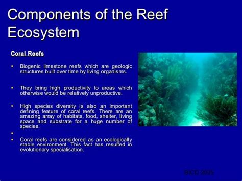 An Introduction To Coral Reefs
