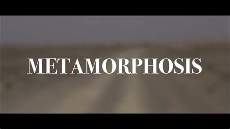 Metamorphosis Youtube