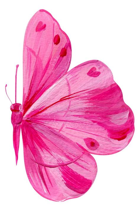 Bright Pink Butterfly On Isolated White Background Acrylic Painting