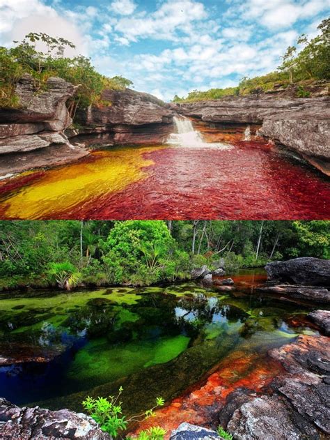 Caño Cristales River Colombiadue To Its Extensive Habitat Of Fauna