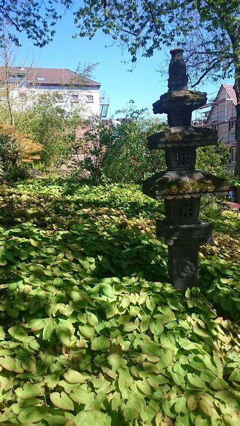 Garten angelegt nach japanischen philosophie. Japanischer Garten Kaiserslautern | Japanischer garten ...