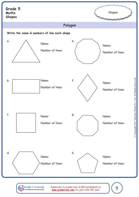 Worksheet Grade 5 Math Polygon | Grade 5 math worksheets, Geometry worksheets, Free math worksheets