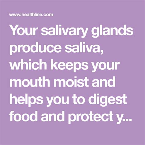 Your Salivary Glands Produce Saliva Which Keeps Your Mouth Moist And