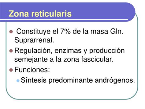 Fisiología De La Glándula Suprarrenal Ppt Descargar