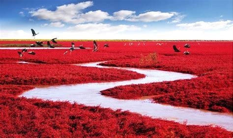 20 Mystical Scenes To Behold In The Mountains Of China