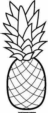 Pineapple Coloring Cute Luau Clipart Outline Clip Choose Board Template Summer sketch template