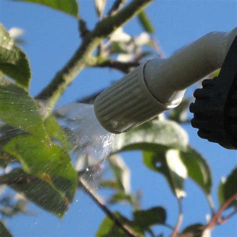 5 Metre Tree And Fruit Bush Spraying Kit 5 Lt Sprayer Hg Promotions Ltd