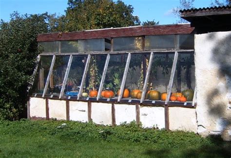 Build your own greenhouse staging. Greenhouses & polytunnels - Lowimpact.orgLow impact living info, training, products & services