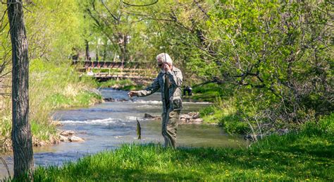 Best Wellness Adventures To Unwind Reflect And Reset In Rapid City