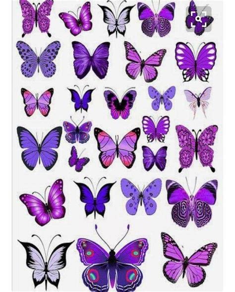 Pin By Mia On Ethereality Purple Butterfly Tattoo Purple Butterfly