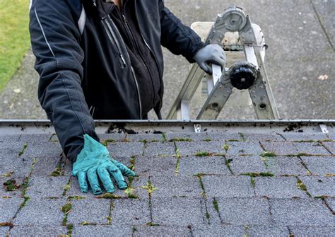 Whats Involved In Roof Cleaning Homez Log