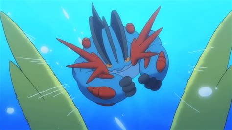 Image May Mega Swampertpng Pokémon Wiki Fandom Powered By Wikia