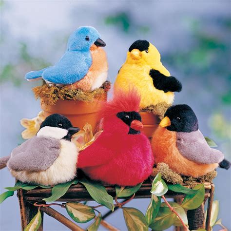 Songbirds Choir Five Bird Set National Geographic Store A Microchip
