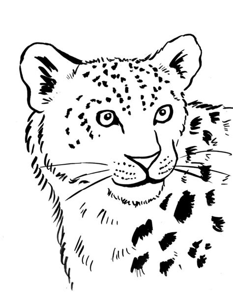 Leopard coloring page, leopard coloring pages for kids, leopard gecko coloring pages, leopard seal coloring pages, snow leopard coloring pages, animal coloring. Snow Leopard Coloring Page - Samantha Bell - Art Blocks