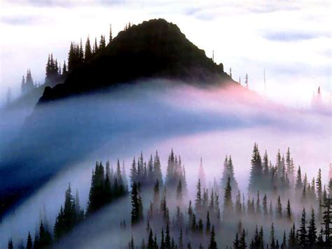 Olympic National Park Wallpapers Wallpaper Cave